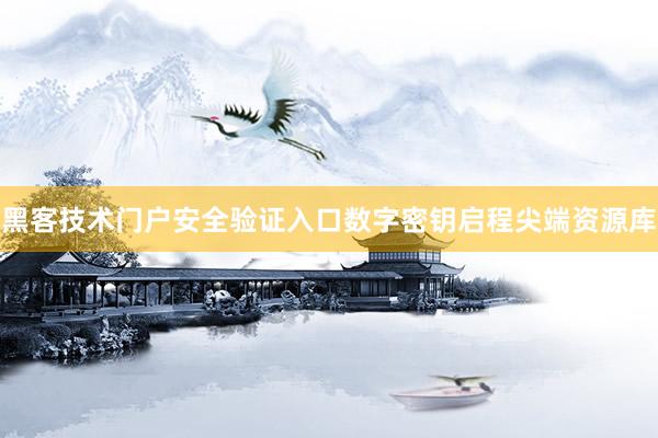 黑客技术门户安全验证入口数字密钥启程尖端资源库