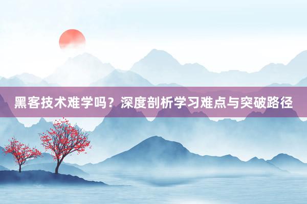 黑客技术难学吗？深度剖析学习难点与突破路径